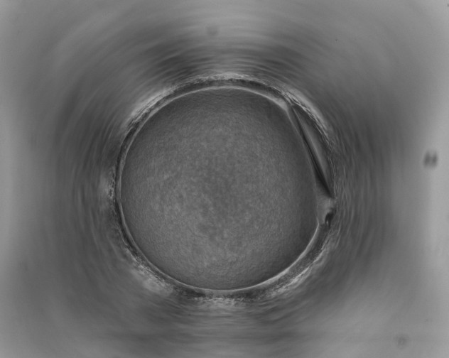 X0000090930785200708131453