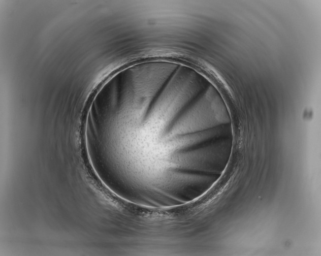 X0000090930786200708131453