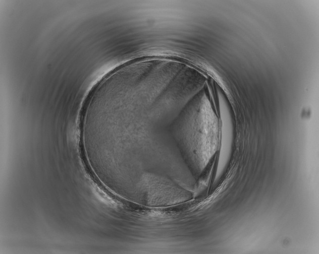 X0000090930787200708131453