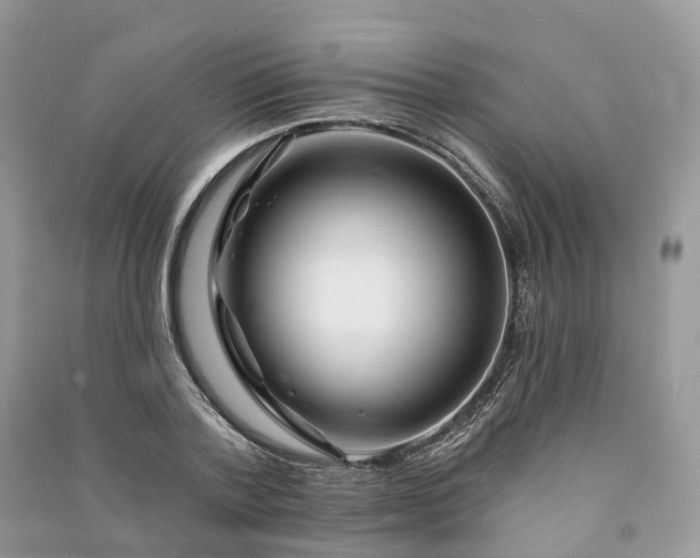 X0000090930788200708131453