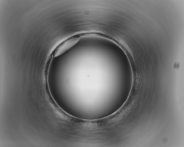 X0000090930789200708131453