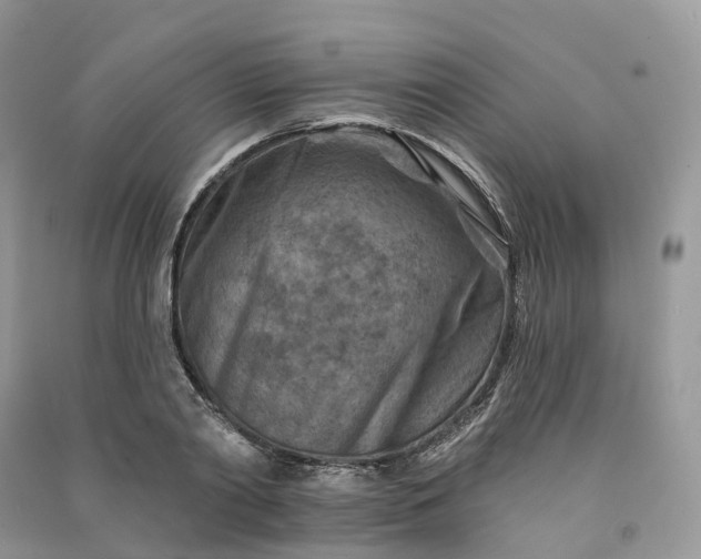 X0000090930790200708131453