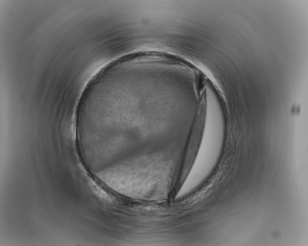 X0000090930791200708131453