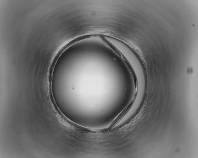 X0000090930792200708131452