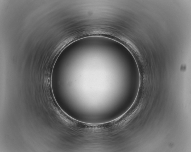 X0000090930793200708131452