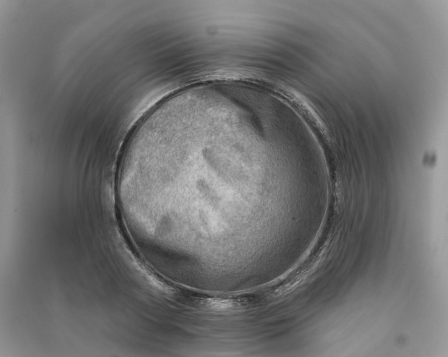 X0000090930794200708131452