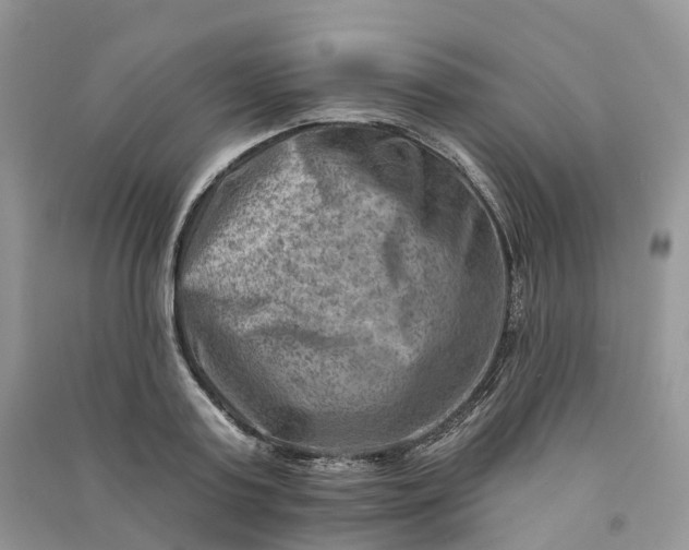 X0000090930795200708131452