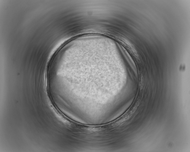 X0000090930796200708131452