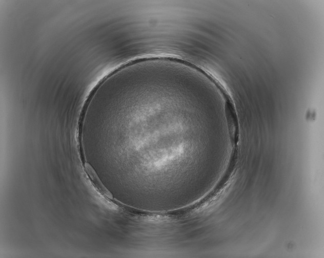 X0000090930797200708131452