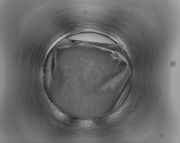 X0000090930798200708131452