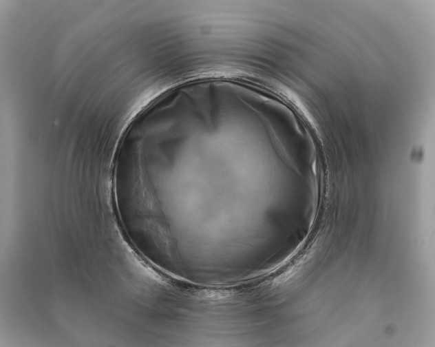 X0000090930802200708131452