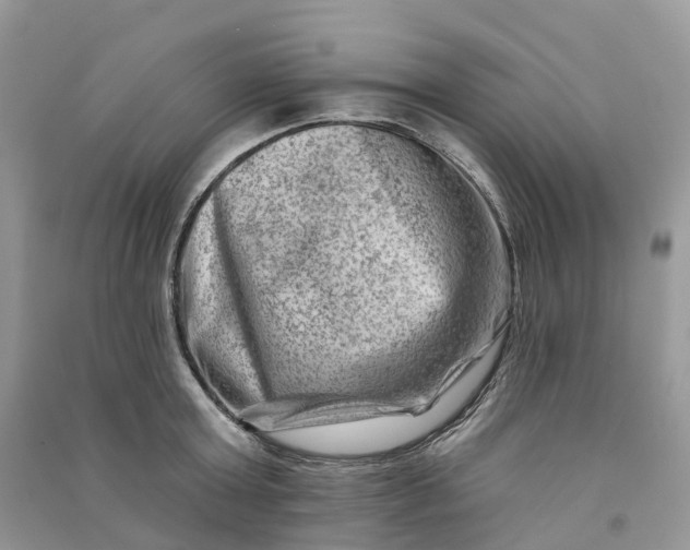 X0000090930803200708131452