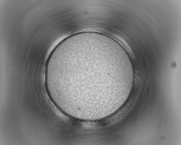 X0000090930804200708131452