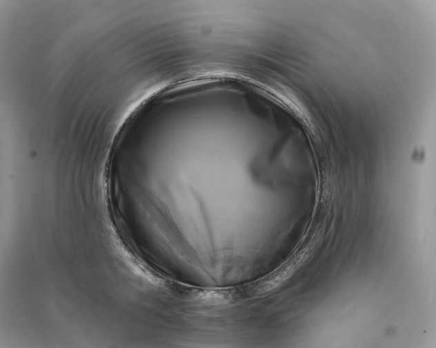 X0000090930806200708131452