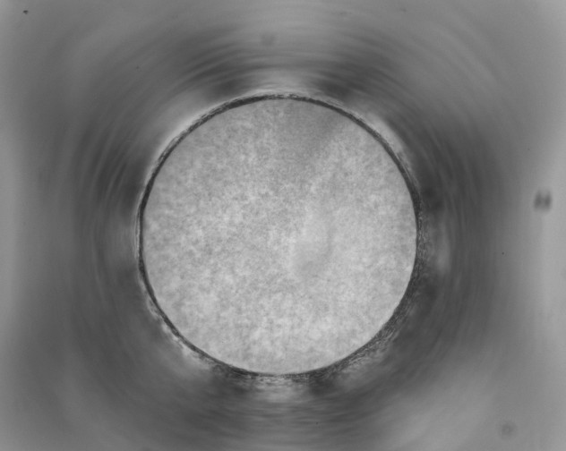 X0000090930807200708131452