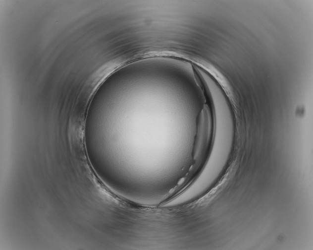 X0000090930809200708131452