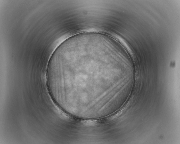 X0000090930810200708131452