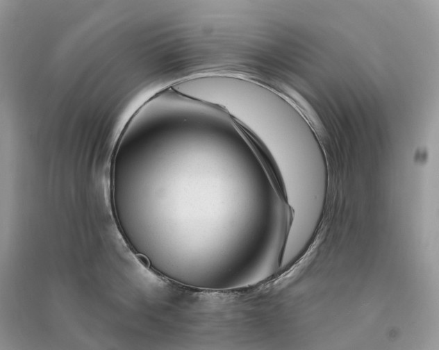 X0000090930812200708131452