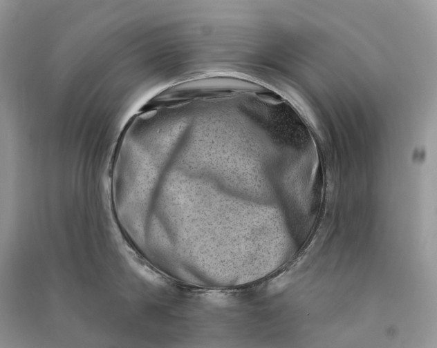 X0000090930814200708131452