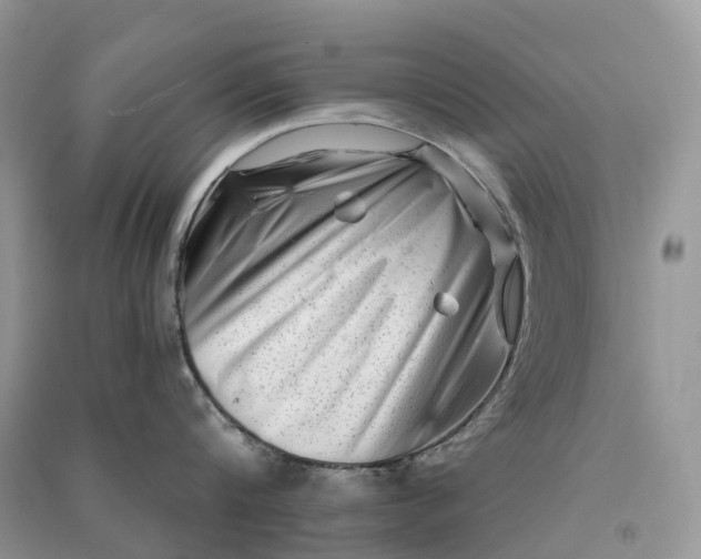 X0000090930816200708131452