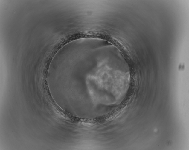 X0000090930817200708131452