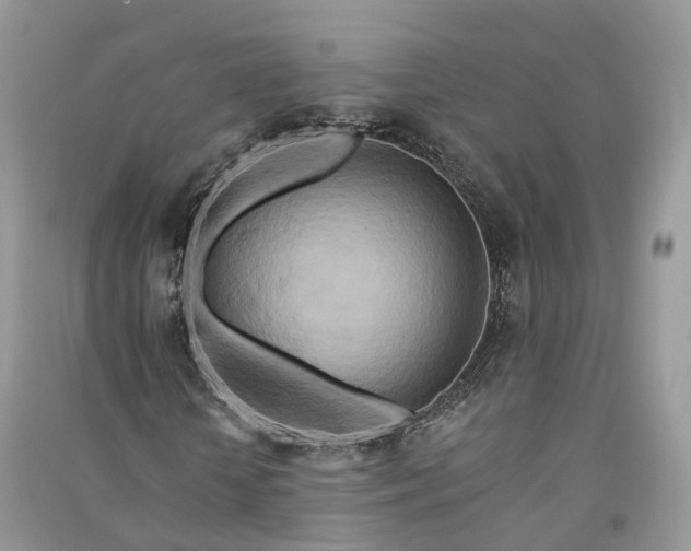 X0000090930818200708131452