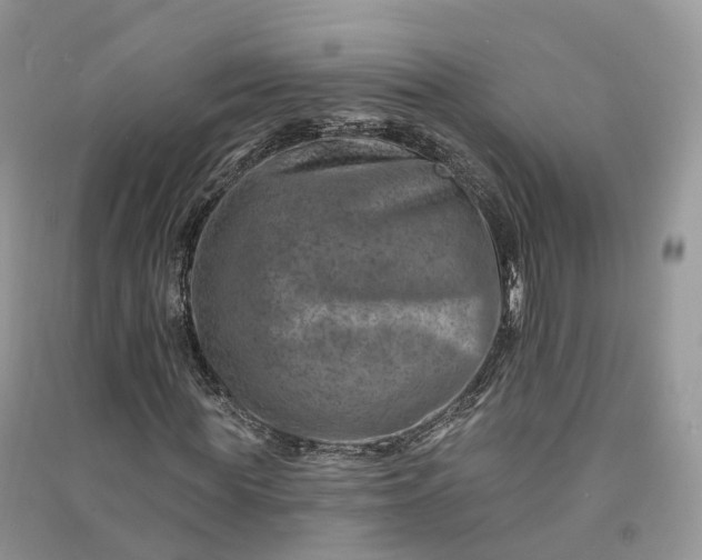 X0000090930819200708131452