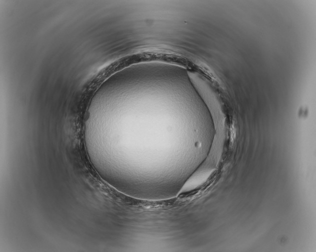 X0000090930822200708131452