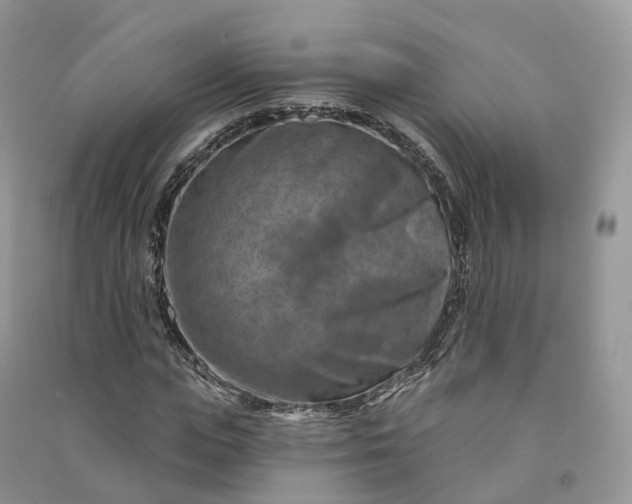 X0000090930823200708131452