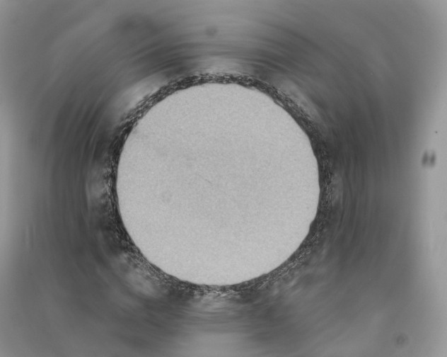 X0000090930824200708131452