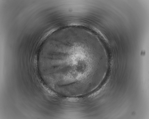 X0000090930825200708131452