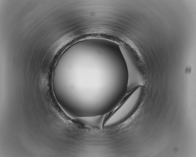 X0000090930826200708131452