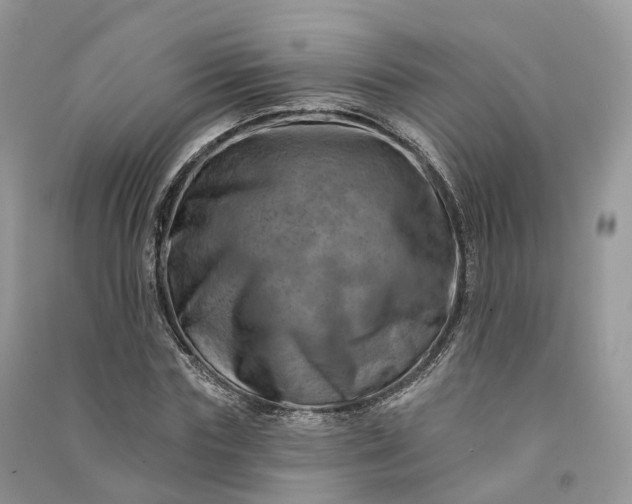 X0000090930827200708131452