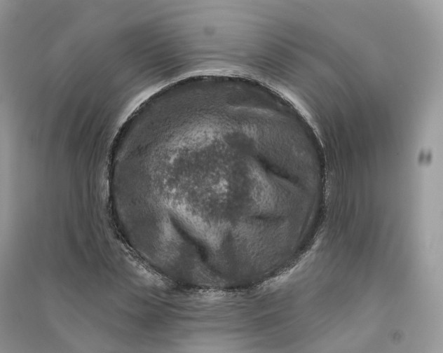 X0000090930829200708131452