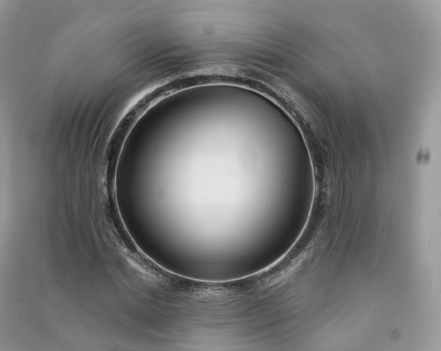 X0000090930830200708131452