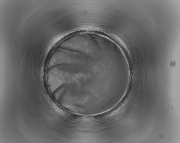 X0000090930831200708131452