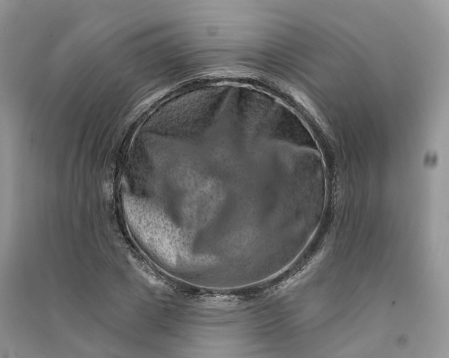 X0000090930833200708131452