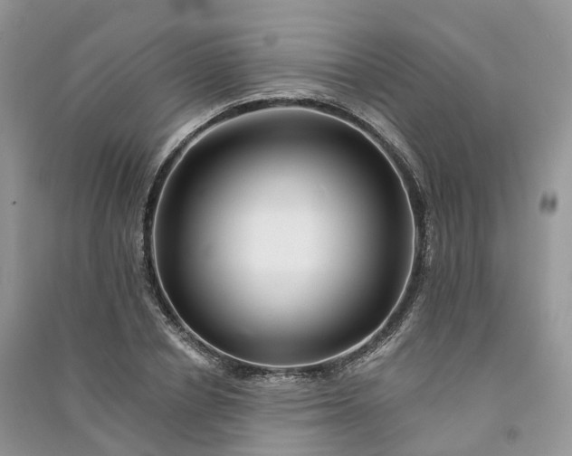 X0000090930834200708131452