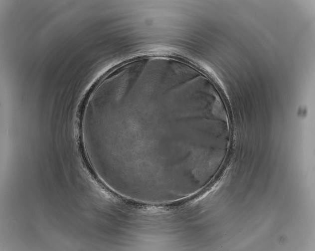 X0000090930835200708131452