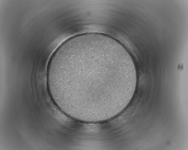 X0000090930836200708131452