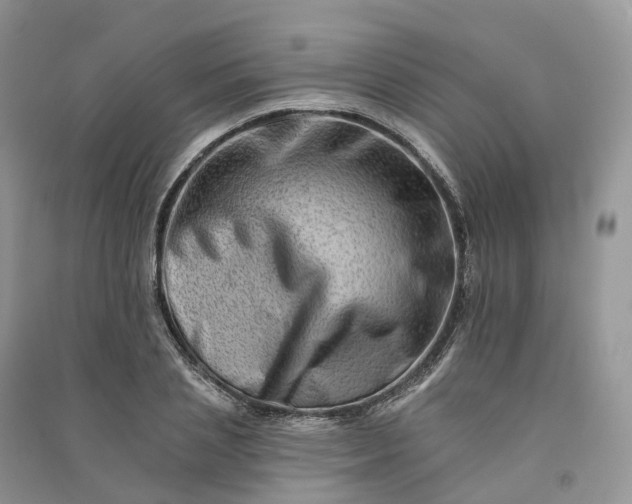 X0000090930837200708131452