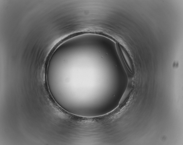 X0000090930838200708131452