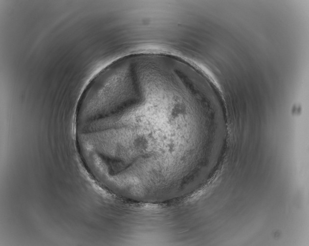 X0000090930839200708131452