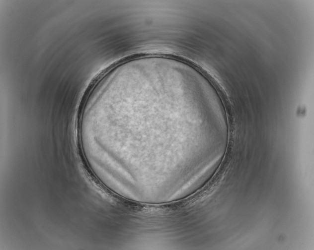 X0000090930840200708131452