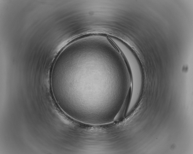 X0000090930842200708131452