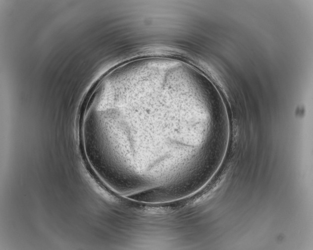 X0000090930843200708131452