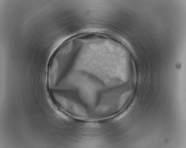 X0000090930844200708131452