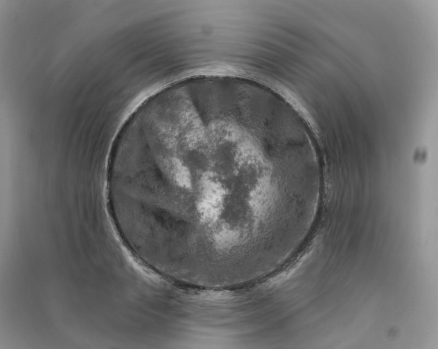 X0000090930845200708131452