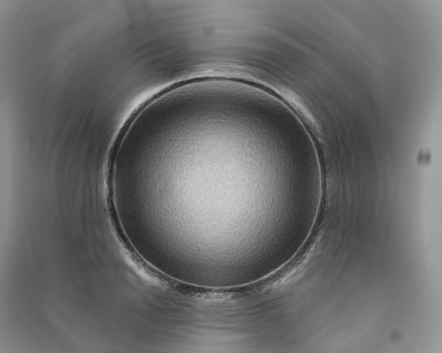 X0000090930846200708131452