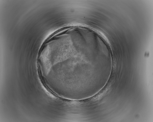 X0000090930847200708131452